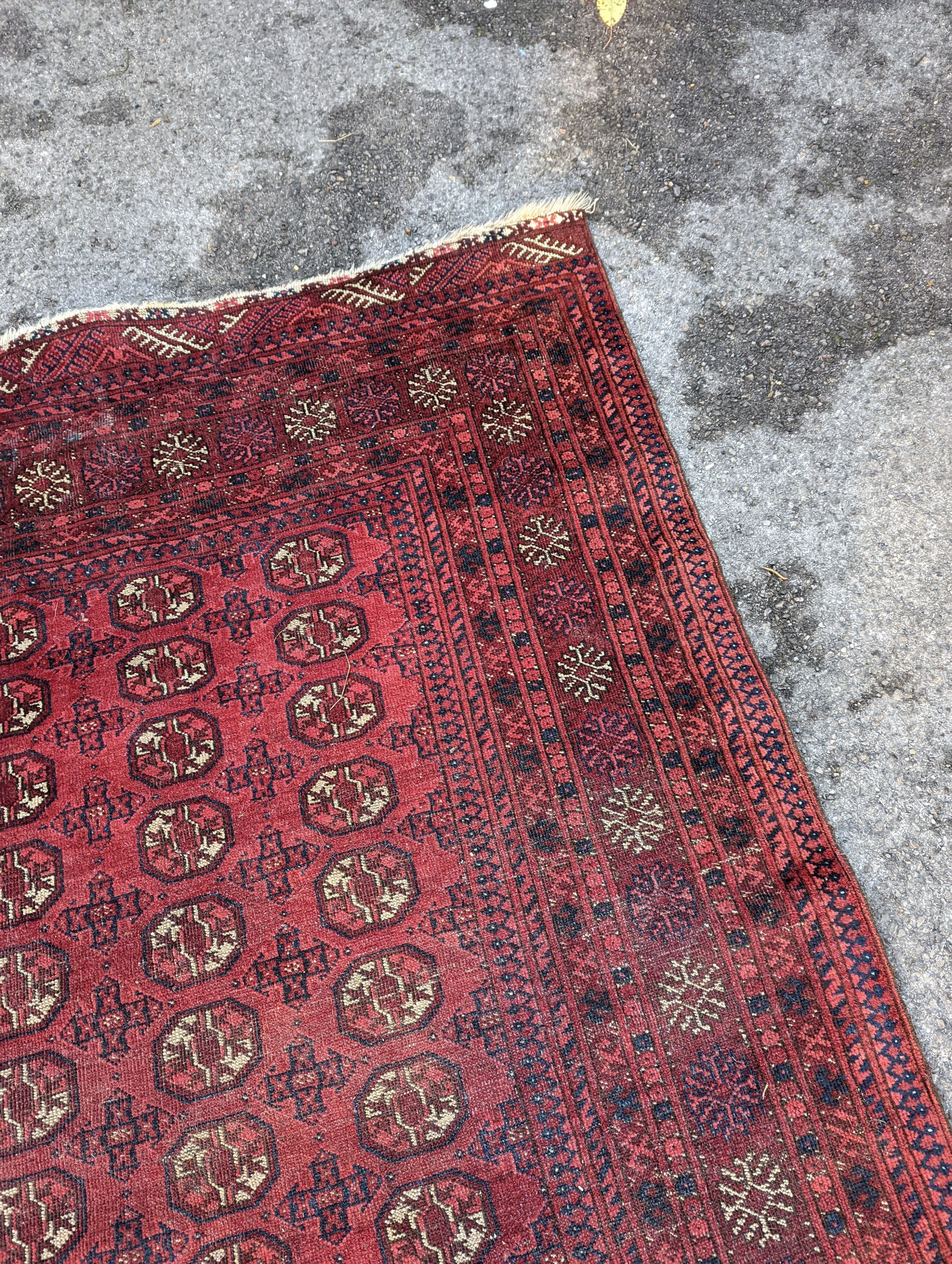 A Bokhara red ground rug, 176 x 135cm